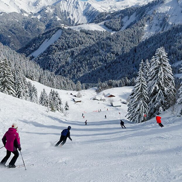 ski snowboard